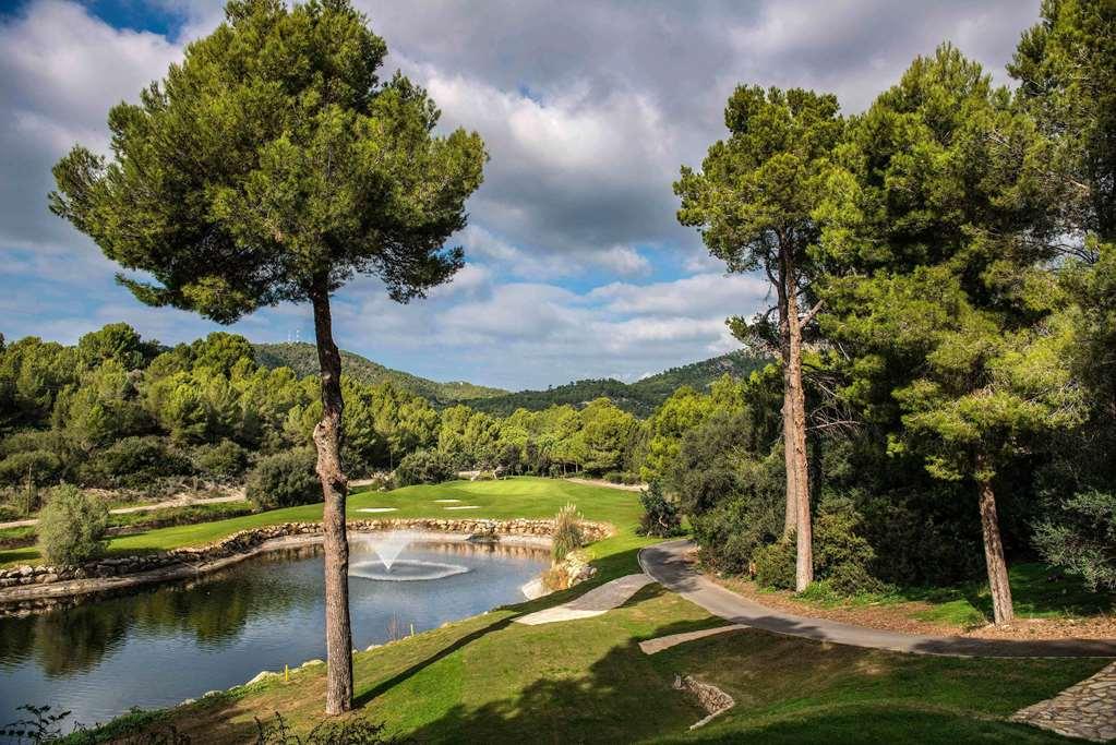 Steigenberger Hotel&resort 5* Camp De Mar